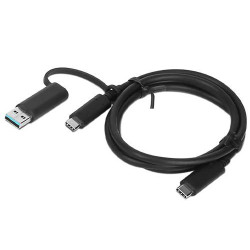USB-C Cable W/ Dongle TP