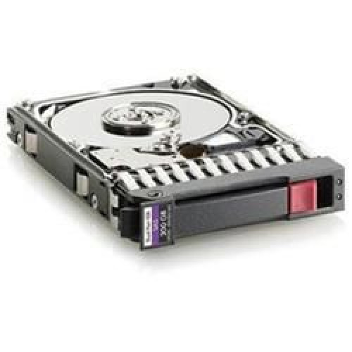 300GB 10K rpm 2.5in SFF Dual-