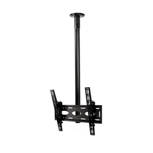 Flat Screen Ceiling Mount