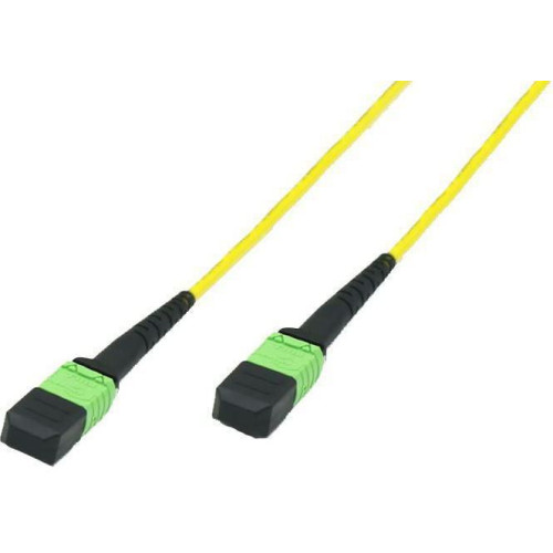 Fiber Patch Cable -  MTP -