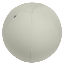 Leitz Ergo Active Sitting Ball 75cm Light Grey