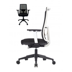ATLAS Style Ergonomic Office Chair