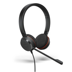 Jabra Evolve 20 USB-C and A MS Stereo Headset
