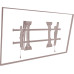 Chief Medium Fusion® Micro-Adjustable Portrait Tilt Wall Mount