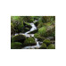 Cokin Z-Pro Series Z154 ND8 Filter