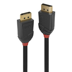 Lindy 36521 DisplayPort cable 2 m Black
