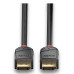 Lindy 36521 DisplayPort cable 2 m Black