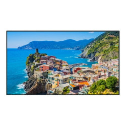 Panasonic TH-65EQ2W 65  4k Uhd 500cd/m2 Sdm Led Lcd Display