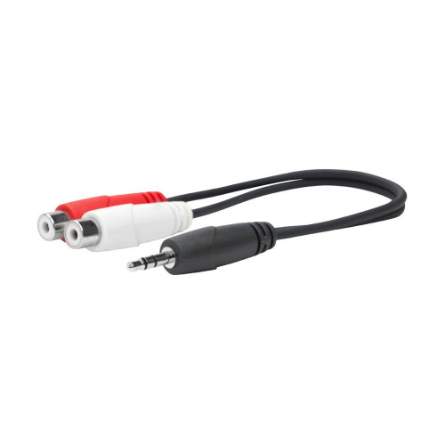 3.5MM Male to RCA Female