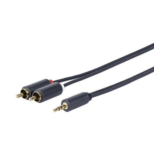 3.5MM - 2 X RCA M-M