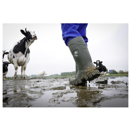 Safety Boots Bekina S5 Steplite Thermoprotec
