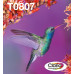 Epson Hummingbird Multipack 6-colours T0807 EasyMail