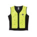 Ergodyne Chill-Its® 6685 Premium Dry Evaporative Cooling Vest  Lime  L