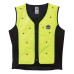 Ergodyne Chill-Its® 6685 Premium Dry Evaporative Cooling Vest  Lime  XL