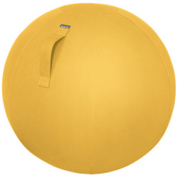 Leitz Ergo Cosy Active Sitting Ball