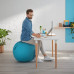 Leitz Ergo Cosy Active Sitting Ball