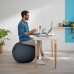Leitz Ergo Cosy Active Sitting Ball
