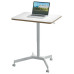 Leitz Ergo Small Sit Standing Desk