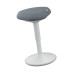 Leitz Ergo Active Sitting Stool with Comfort Seat