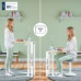 Leitz Ergo Small Foldable Sit Standing Desk