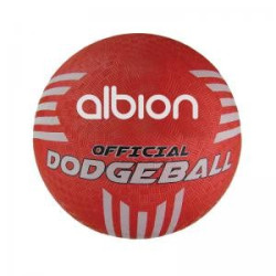 Albion Official Dodgeball 21cm Size 3 PP-15152-210 PT70274