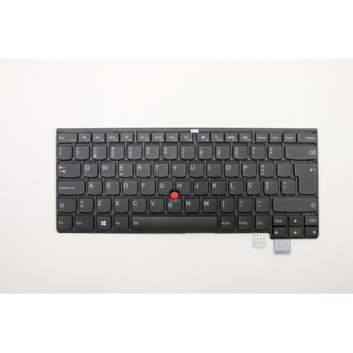 Thorpe KBD Portuguese Darf