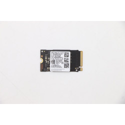 256GB M.2 2242 PCIe NVMe SSD