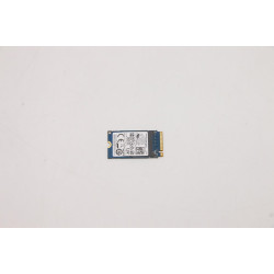 256GB M.2 PCIe NVMe SSD
