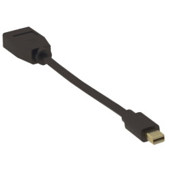 4K Mini Displayport - DP M-F
