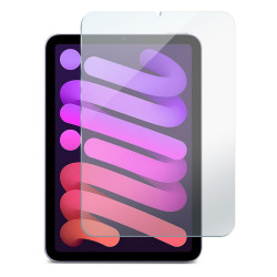 Apple iPad Mini 7 / 6 Screen