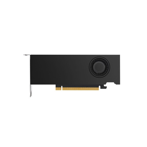 NVIDIA RTX A2000 12GB 4mDP GFX