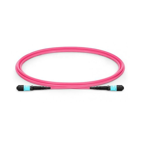 Fiber Patch Cable - 12 cores