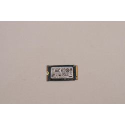 256GB M.2 2242 NVMe SSD