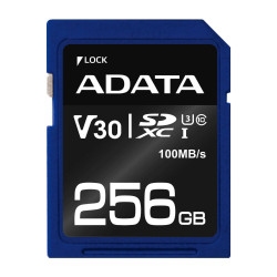 256GB SDXC UHS-I U3 V30S