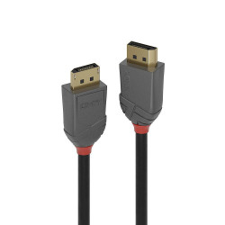 1M Displayport 1.4 Cable,