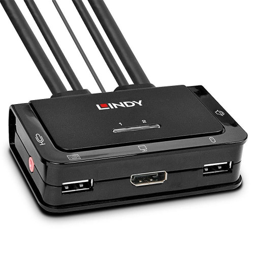 2 Port Displayport 1.2, Usb