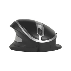Oyster Mouse