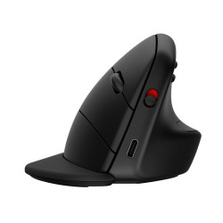920 Ergonomic Wireless Mouse