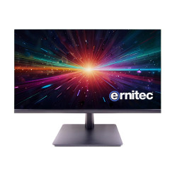 22" Surveillance monitor