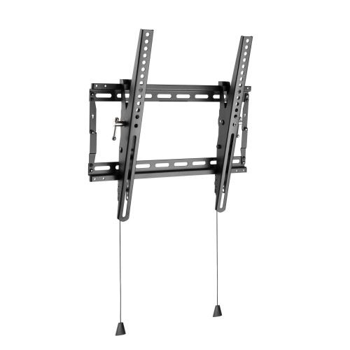 Basic Medium Wall Mount with