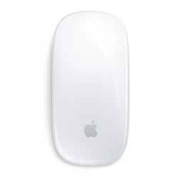 Magic Mouse -White  Multi