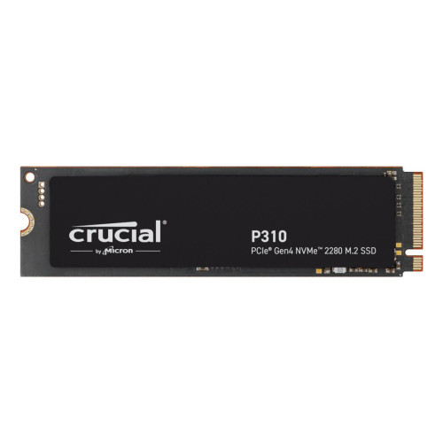 P310 500 Gb M.2 Pci Express