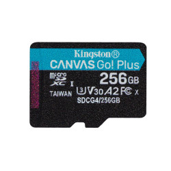 256Gb Microsdxc Canvas Go