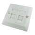 Scan Single Gang, Dual Port Cat 5E Faceplate