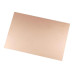 FortexSS100 | Copper