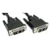 Spire Cable DVI macho a macho 2 metros