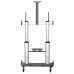 StarTech.com Mobile TV Stand - Heavy Duty TV Cart for 60-100