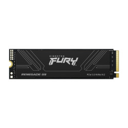 Kingston Technology 2T FURY RENEGADE G5 M.2 2280 NVMe SSD