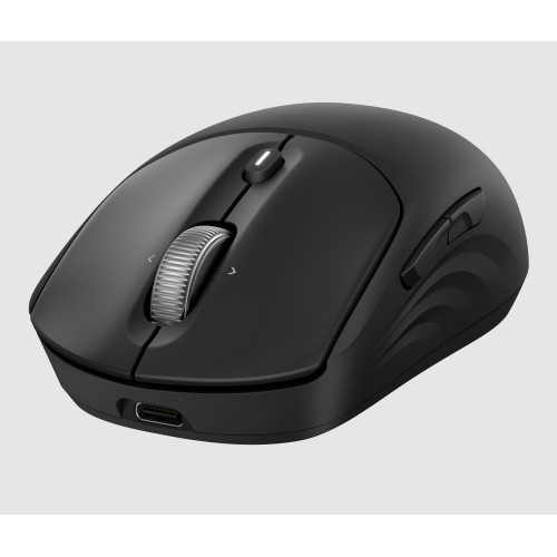 HP 705 Rechargeable Wireless EMEA mouse