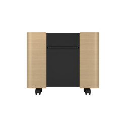 Epson ELPCS01 19U Floor mounted rack Black, Brown